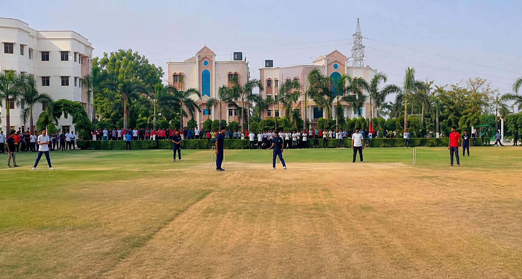 Cricket